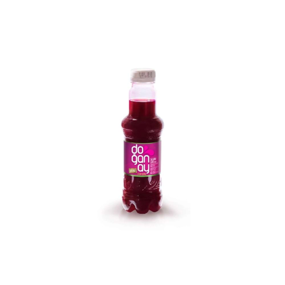 DOĞANAY ŞALGAM SADE 300 ML(24 AD)