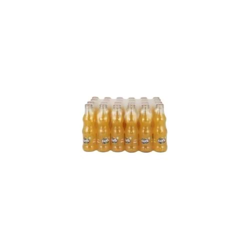 FANTA CAM 200 ML DEPOZİTOLU(KOLİ İÇİ 24 AD)
