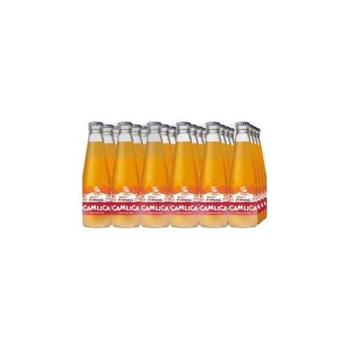 ÇAMLICA PORTAKAL 200 ML (KOLİ İÇİ 24 AD)