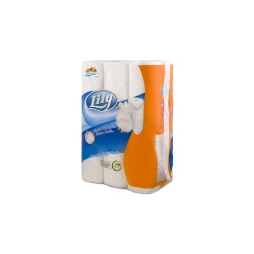 LİLY KAĞIT HAVLU 12 Lİ (KOLİ İÇİ 4 AD)