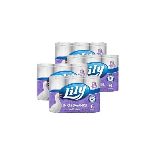 LİLY KAĞIT HAVLU 6 LI (KOLİ İÇİ 4 AD)