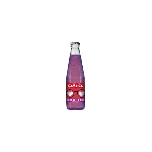 ÇAMLICA KARADUT NAR 200ML(KOLİ İÇİ24)