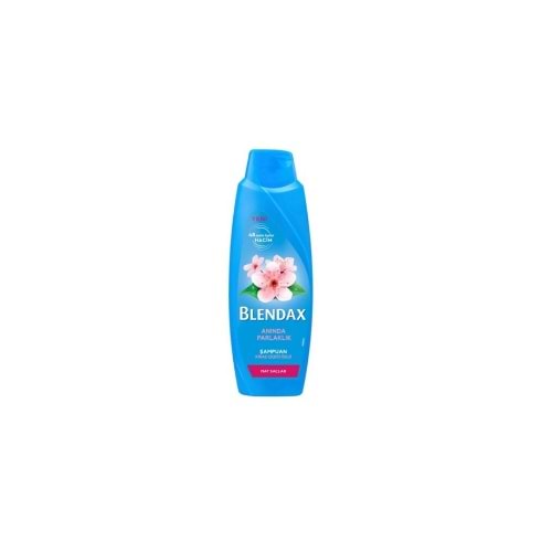 BLENDAX MAT SAÇLAR KİRAZ 470 ML