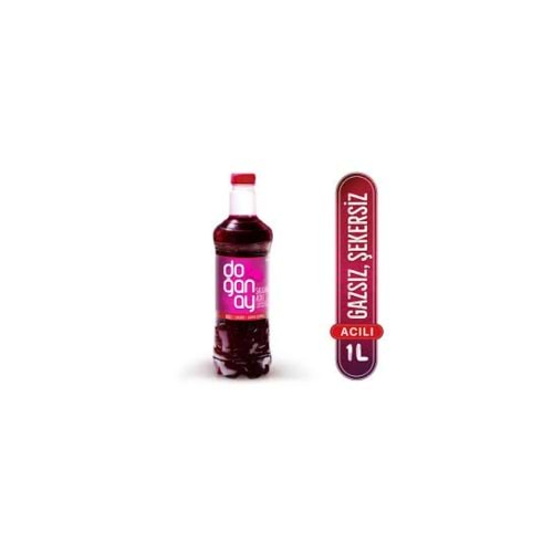 DOĞANAY ŞALGAM ACI 1000 ML(12 AD)