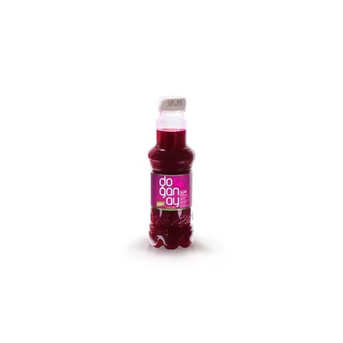 DOĞANAY ŞALGAM ACI 300 ML(24 AD)