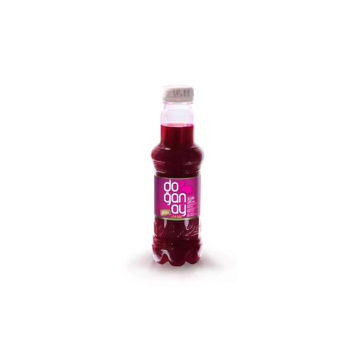 DOĞANAY ŞALGAM SADE 300 ML(24 AD)