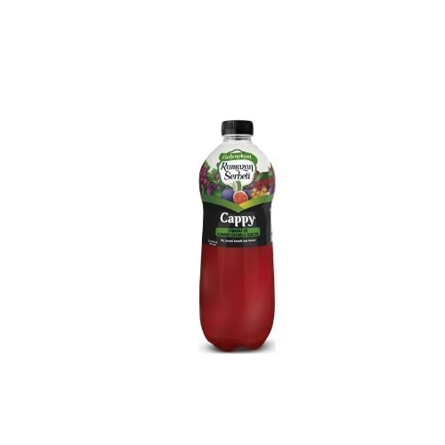 CAPPY RAMAZAN ŞERBETİ 1 LT(KOLİ İÇİ 12)