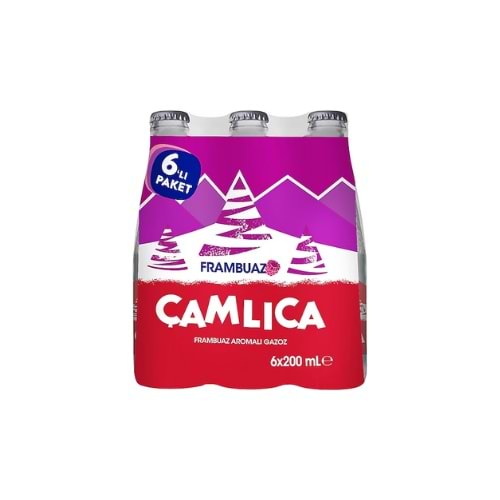 ÇAMLICA FRAMBUAZ 200 ML (KOLİ İÇİ 24 AD)