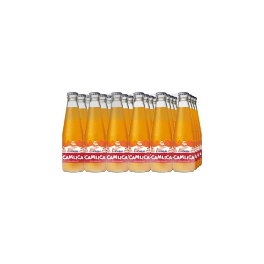 ÇAMLICA PORTAKAL 200 ML (KOLİ İÇİ 24 AD)
