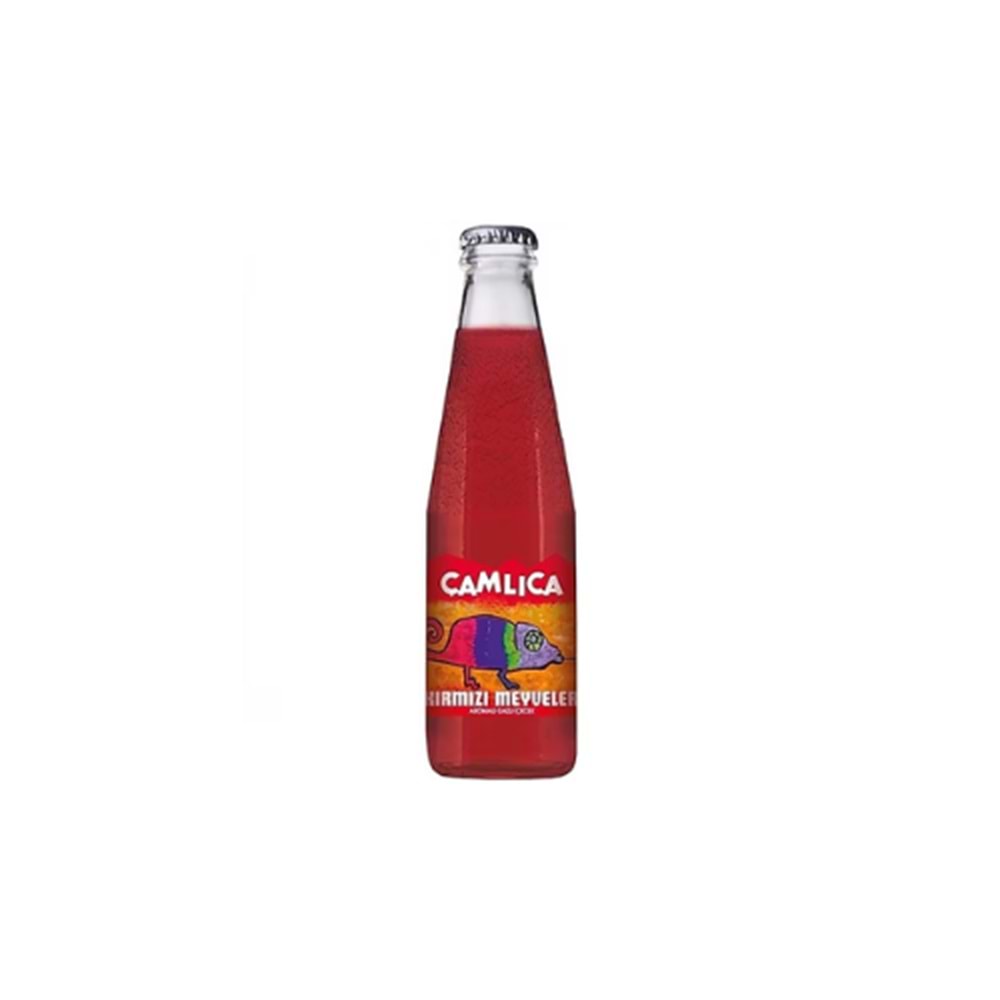 ÇAMLICA GAZOZ KIRMIZI MEYVE CAM 200 ML (KOLİ İÇİ 24 AD)