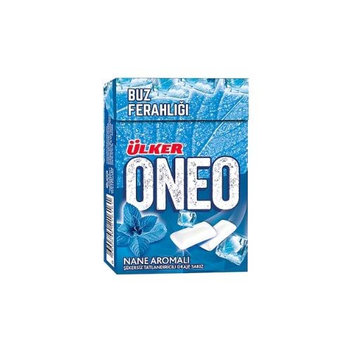 ONEO NANE AROMALI SAKIZ 21GR(PAKET İÇİ 12 AD.)