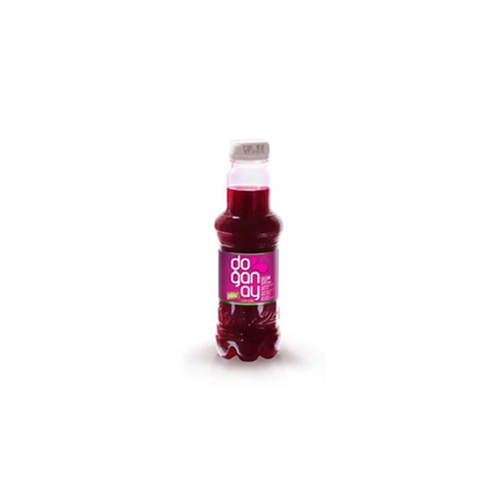 DOĞANAY ŞALGAM ACI 300 ML(24 AD)